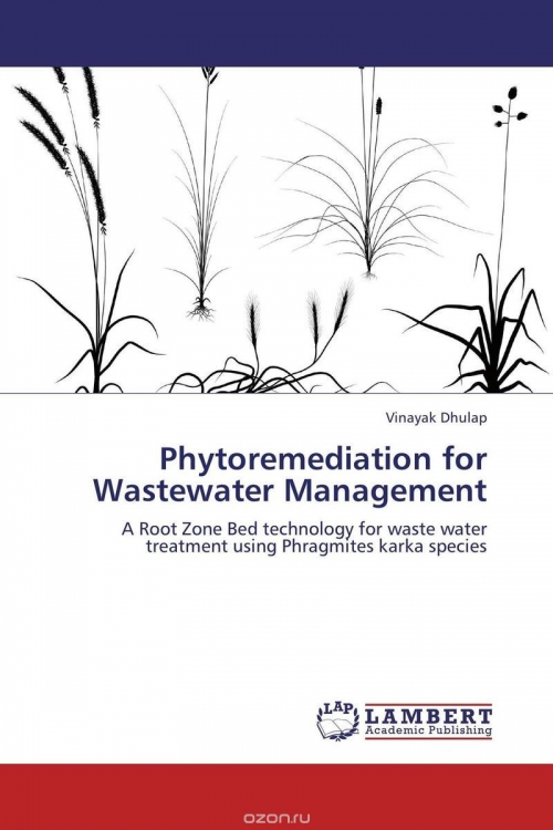 Phytoremediation for Wastewater Management