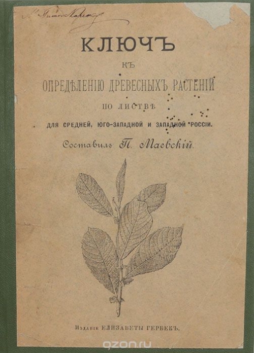 Ключ к определению древесных растений по листве для средней, юго-западной и западной России