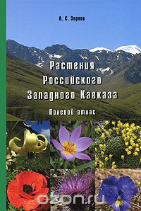 Растения Российского Западного Кавказа. Полевой атлас