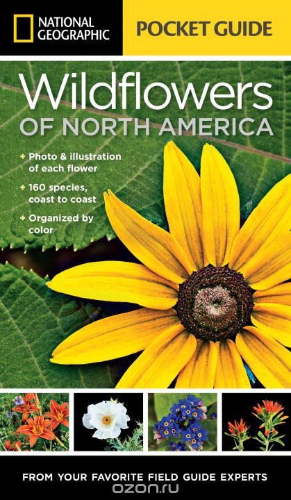 Wildflowers of North America: Pocket Guide