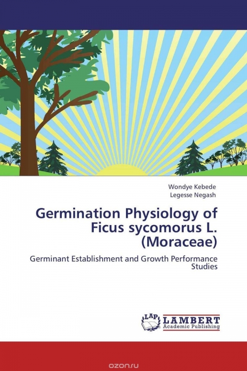 Germination Physiology of Ficus sycomorus L. (Moraceae)