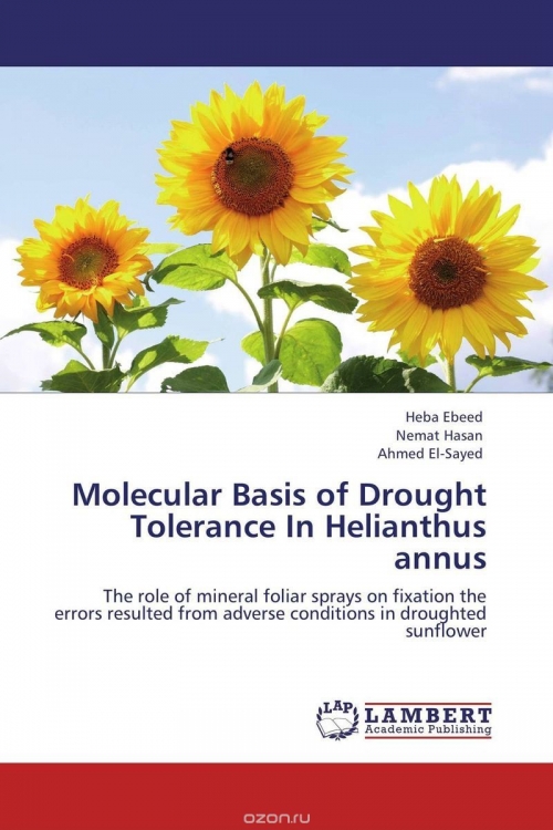 Molecular Basis of Drought Tolerance In Helianthus annus