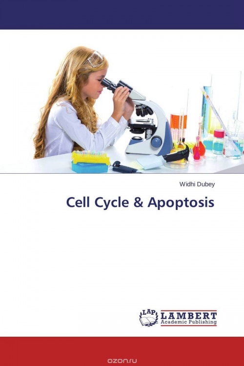 Cell Cycle & Apoptosis