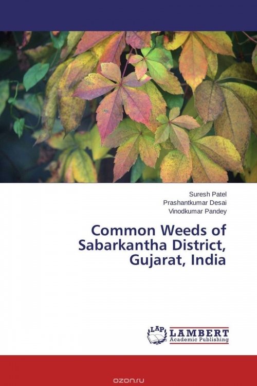 Common Weeds of Sabarkantha District, Gujarat, India