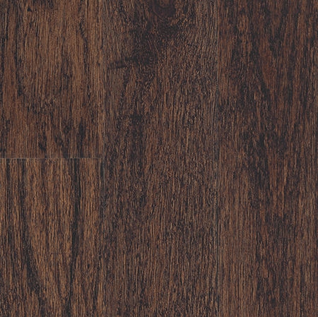 Ватерия индийская / Vateria indica L.