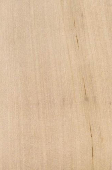 Берёза Максимовича / Betula maximowicziana Regel.