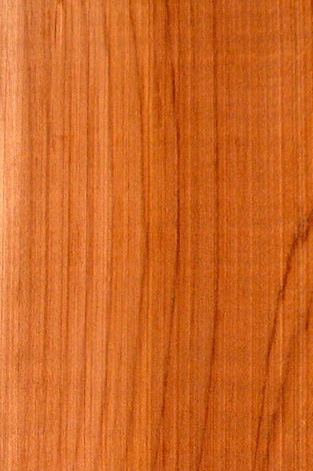 Хмелеграб виргинский / Ostrya virginiana K. Koch.