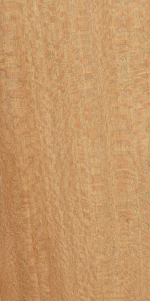 Платан западный / Platanus occidentalis L.