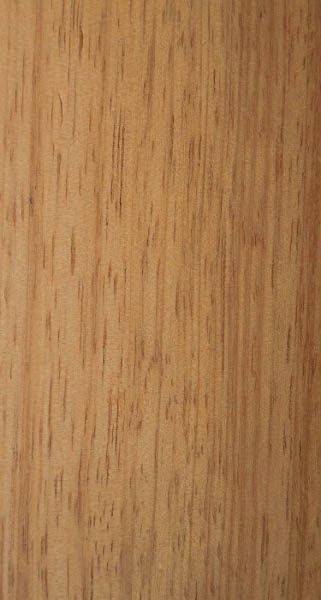 Пометия перистая / Pometia pinnata